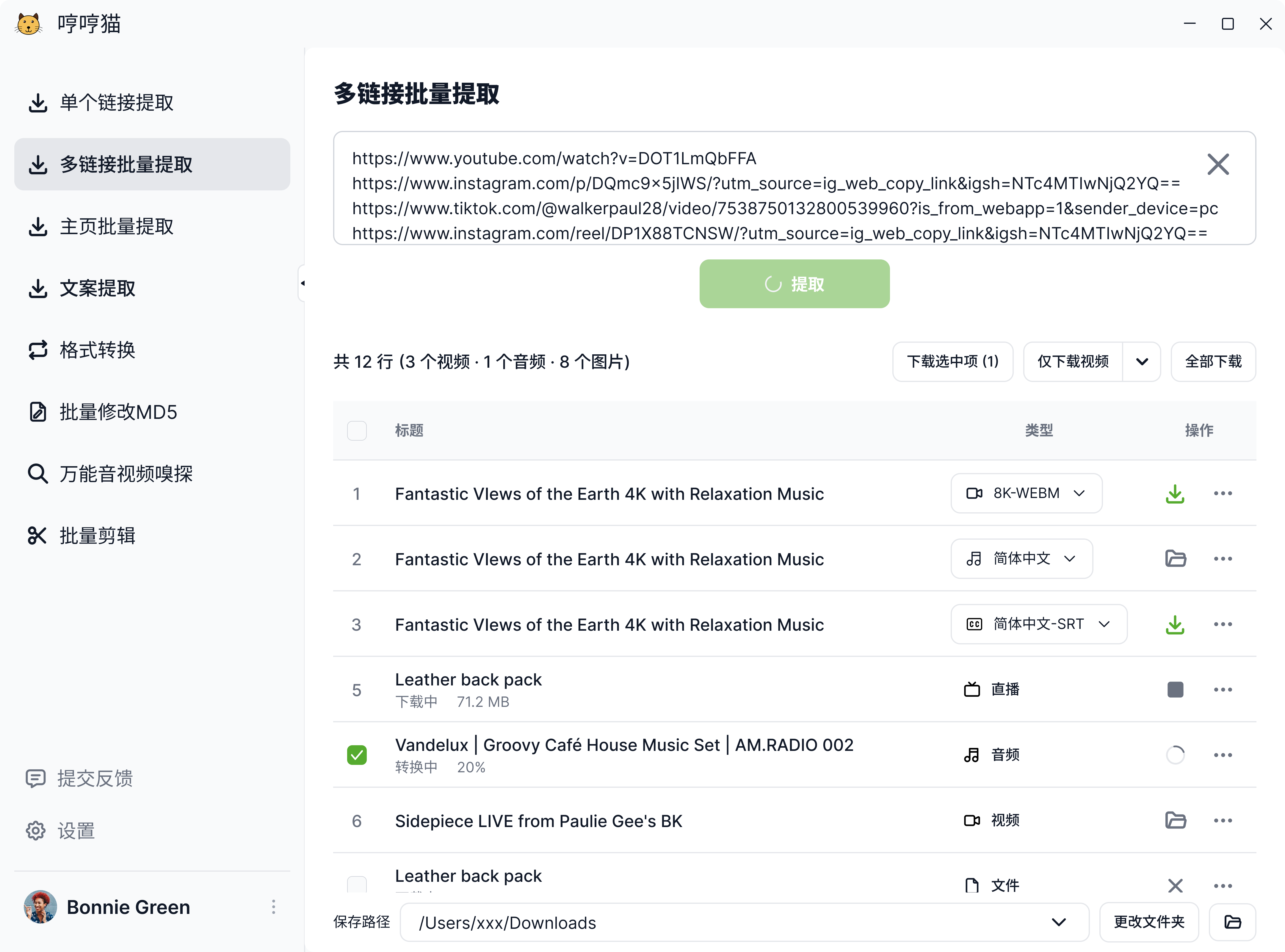 哼哼猫去水印 - 官方出品的多功能去水印工具 - 支持短视频平台链接解析与去水印下载 4